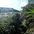 P1146965.jpg