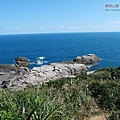 P1146964.jpg
