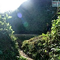 P1146966.jpg