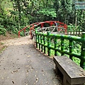 P1180621.jpg