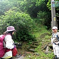 P1182318.jpg