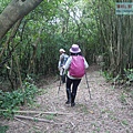 P1182323.jpg