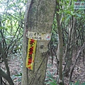 P1182325.jpg