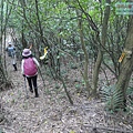 P1182324.jpg