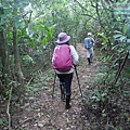P1182328.jpg