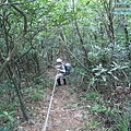 P1182331.jpg