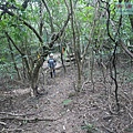 P1182332.jpg