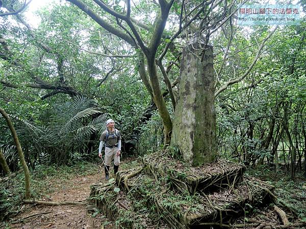 P1182333.jpg P1182333.jpg