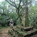P1182333.jpg
