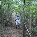 P1182335.jpg