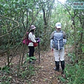 P1182336.jpg