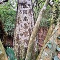 P1182334 (2).jpg
