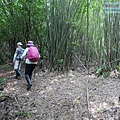 P1182339.jpg