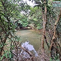 P1182340.jpg