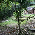 P1182341.jpg