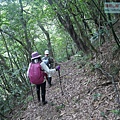 P1182343.jpg
