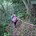 P1182344.jpg