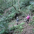 P1182345.jpg