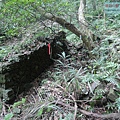 P1182346 (1).jpg