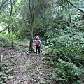 P1182347.jpg