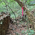 P1182346 (2).jpg