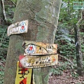 P1182349.jpg