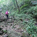P1182352.jpg