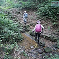 P1182355.jpg
