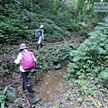 P1182354.jpg