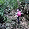 P1182357.jpg