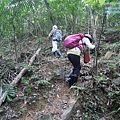 P1182360.jpg