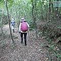 P1182362.jpg
