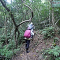 P1182361.jpg