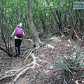 P1182363.jpg