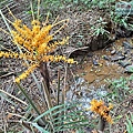 P1182365.jpg