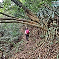 P1182364.jpg