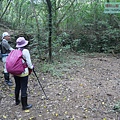 P1182367.jpg