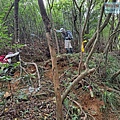 P1182369.jpg