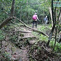 P1182370.jpg
