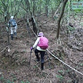 P1182375.jpg