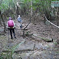 P1182373.jpg