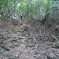 P1182374.jpg