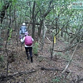 P1182377.jpg