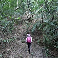 P1182380.jpg