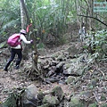 P1182379.jpg