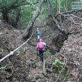 P1182381.jpg