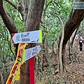 P1182383.jpg