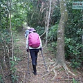 P1182384.jpg