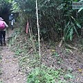 P1182385.jpg