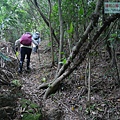 P1182387.jpg
